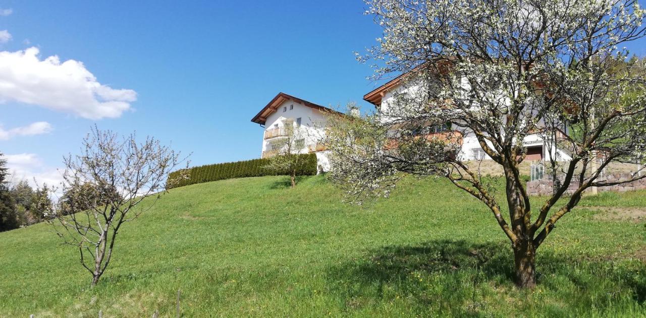 Agriturismo Ferienhof Gschloier (Adults Only) Laion Exterior photo