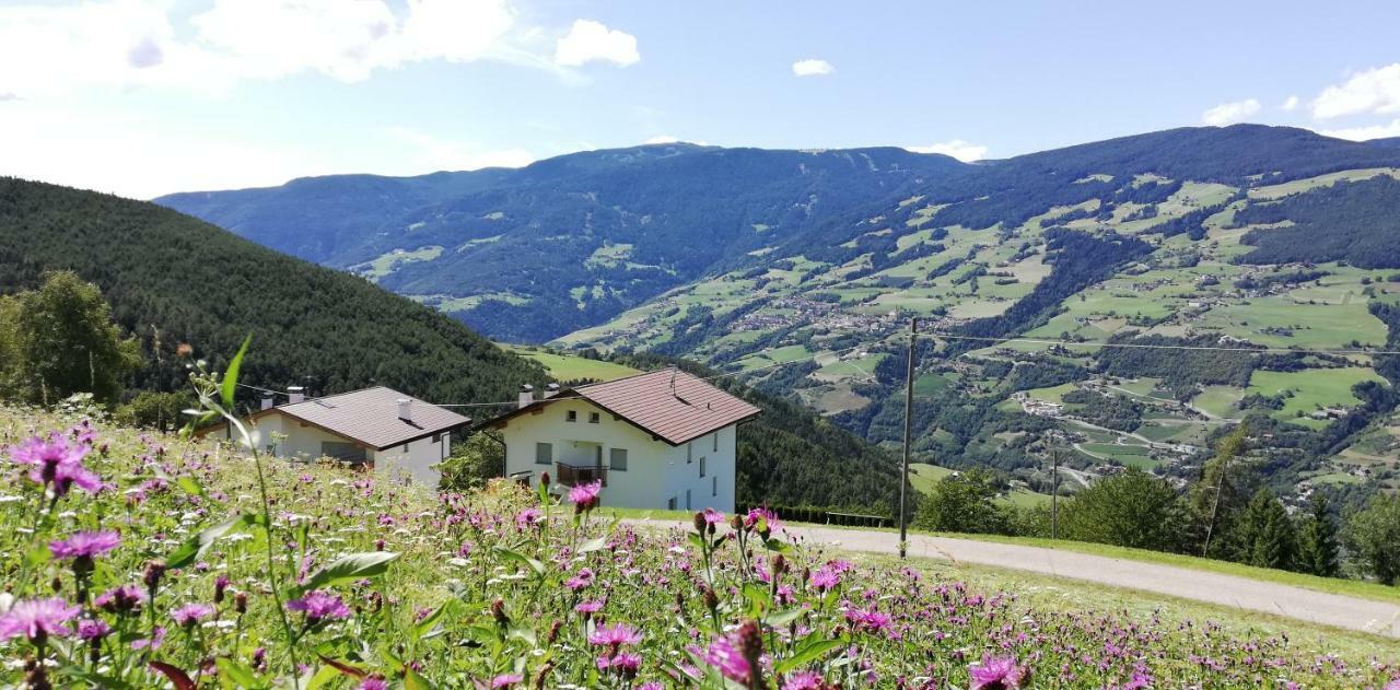 Agriturismo Ferienhof Gschloier (Adults Only) Laion Exterior photo